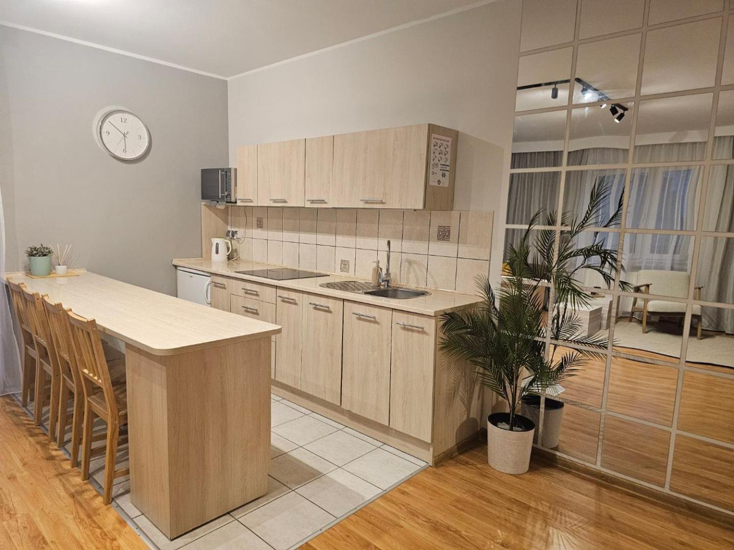 Apartament Rema W Centrum Apartzakop Закопане Екстериор снимка