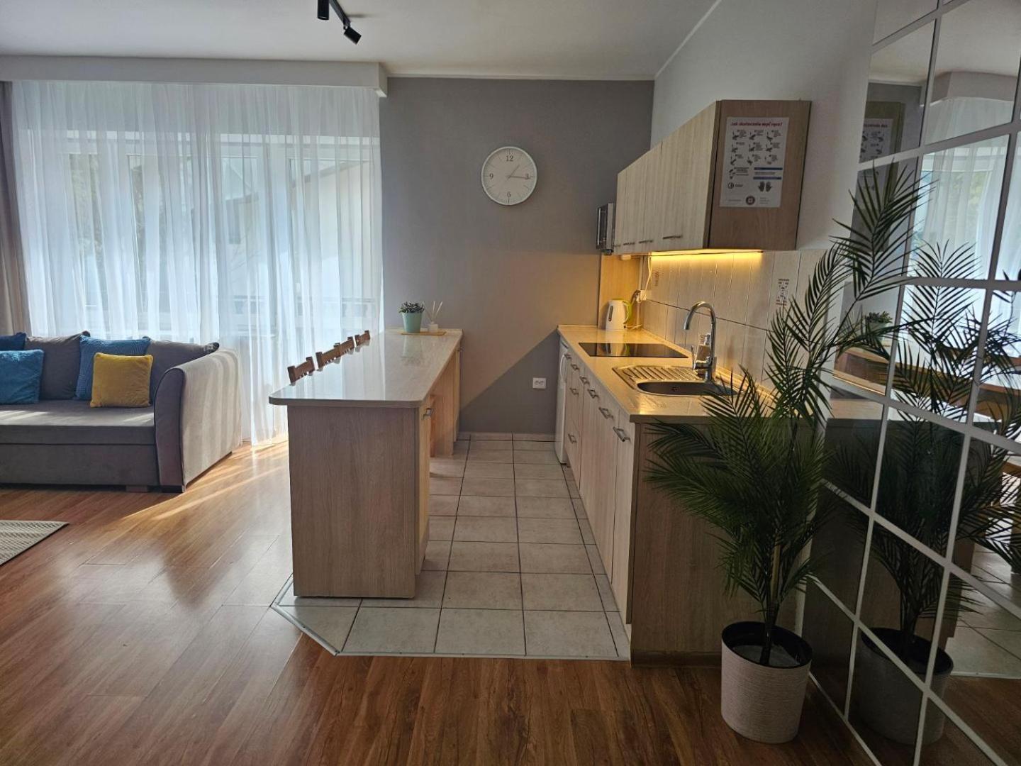 Apartament Rema W Centrum Apartzakop Закопане Екстериор снимка