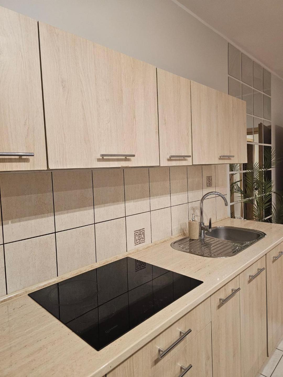 Apartament Rema W Centrum Apartzakop Закопане Екстериор снимка
