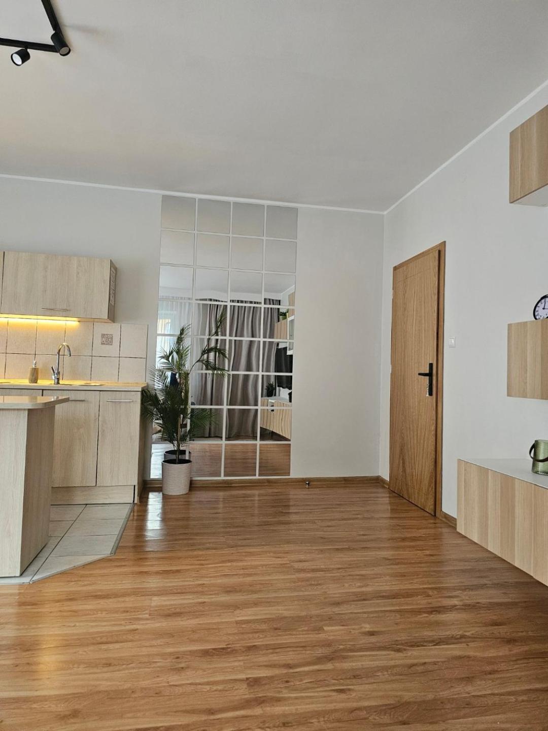 Apartament Rema W Centrum Apartzakop Закопане Екстериор снимка