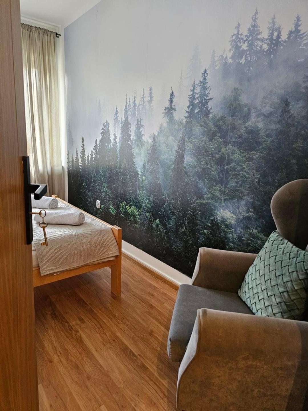 Apartament Rema W Centrum Apartzakop Закопане Екстериор снимка